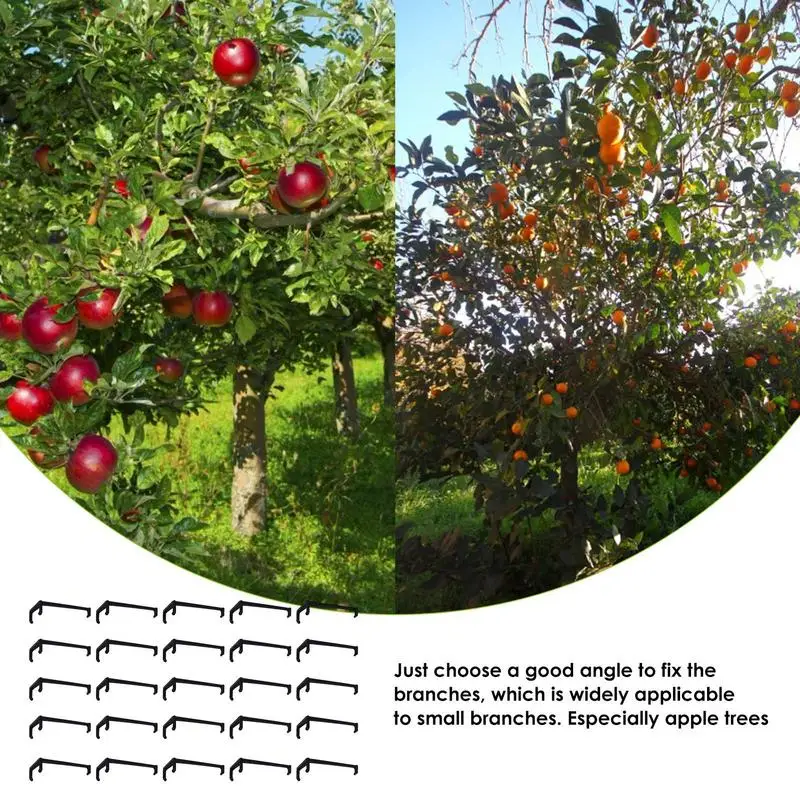 25 adet Meyve Ağacı Dalları Tutucu Bitki Desteği Meyve Dalı Serpme Ağaç Dalı destek çerçevesi Yard Meyve Ağacı Dalları Düzeltme Görüntü 2